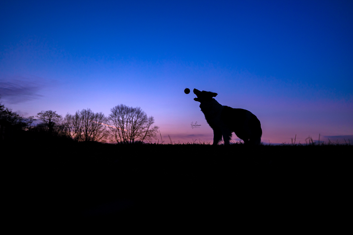 4 tips voor een zachte achtergrond recht uit de camera
