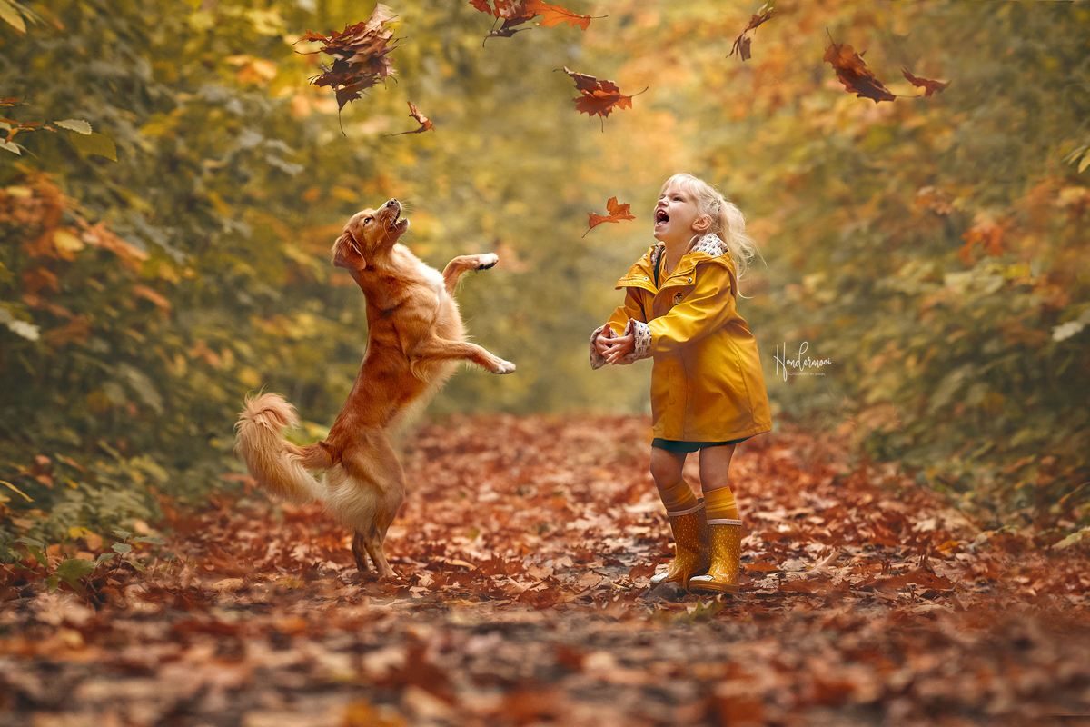 12 leuke trucjes voor hondenfotografie
