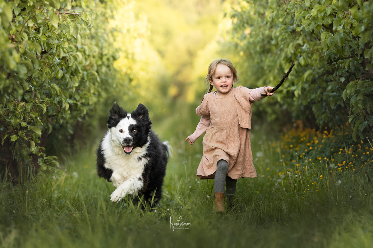10 tips voor het fotograferen van honden in actie!