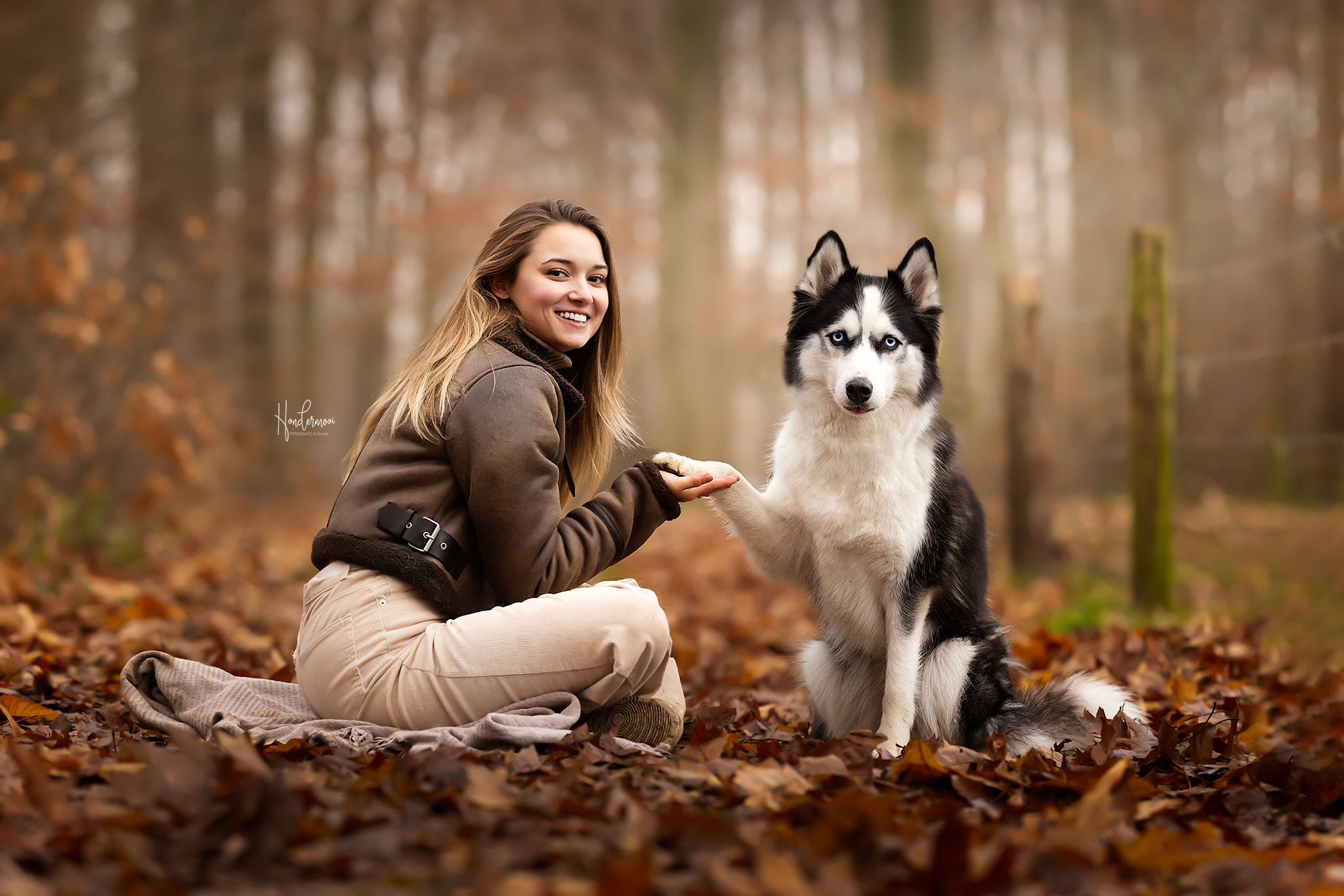 12 leuke trucjes voor hondenfotografie
