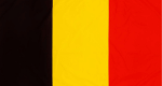 Dutch nieuws